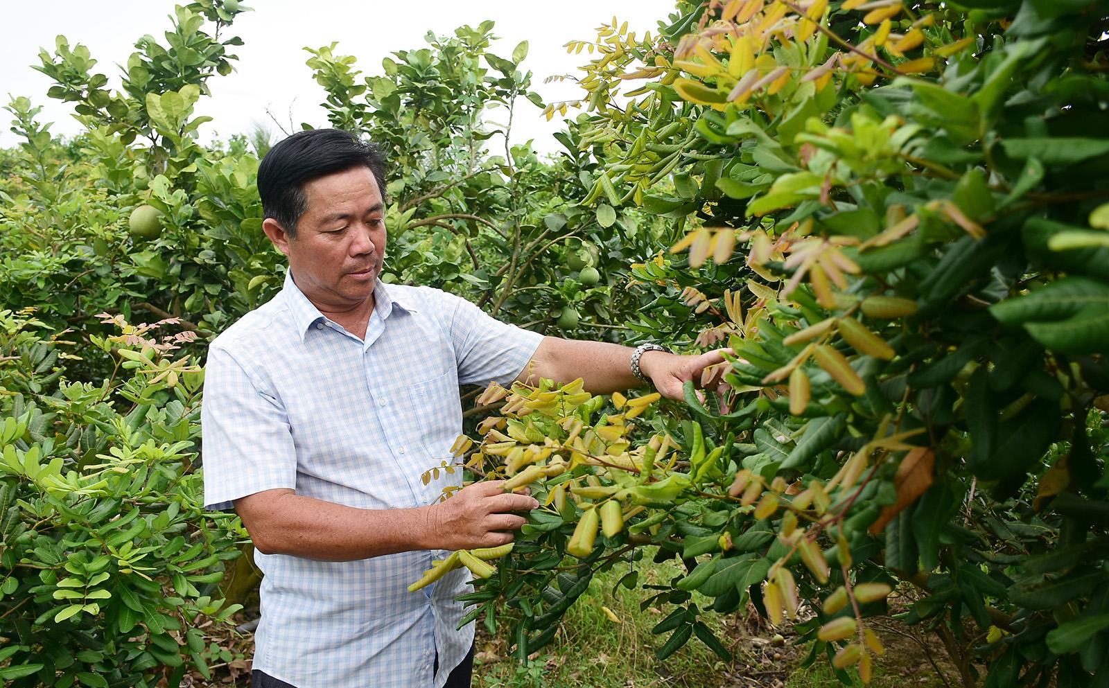 Khi nông dân làm ăn tập thể