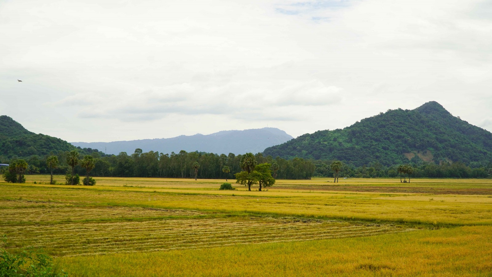 Nhịp sống biên thùy