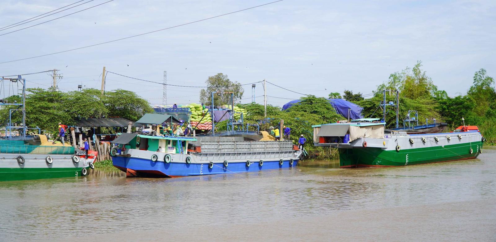Nhịp sống biên thùy