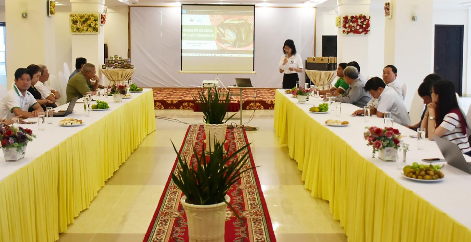 Kết nối thị trường cho các loại cá đồng mùa lũ