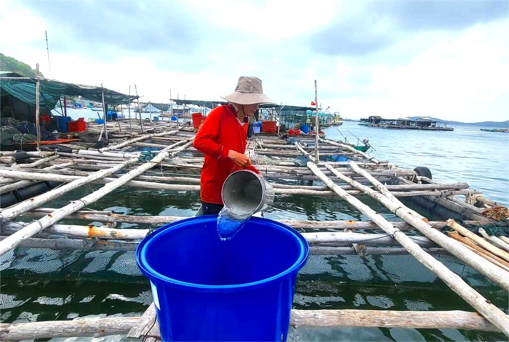 An Giang phát huy tiềm năng kinh tế biển