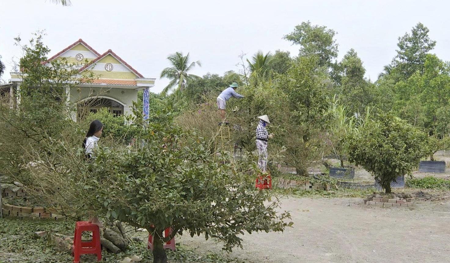 Phum sóc vào xuân