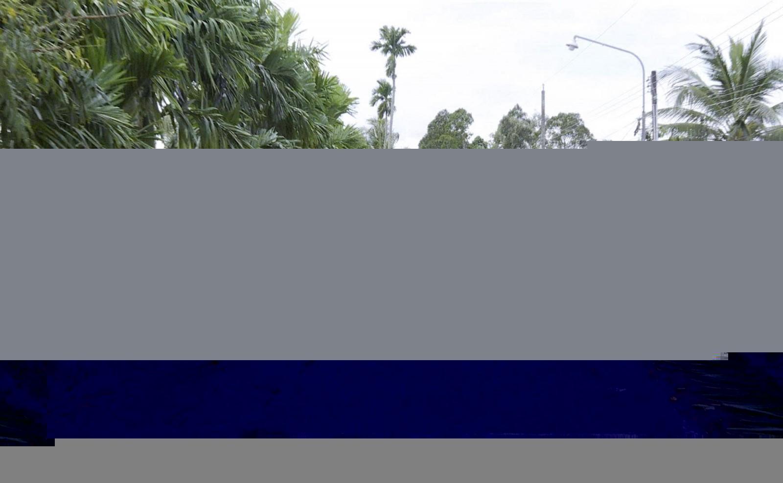 Nhân lên những tuyến đường đẹp