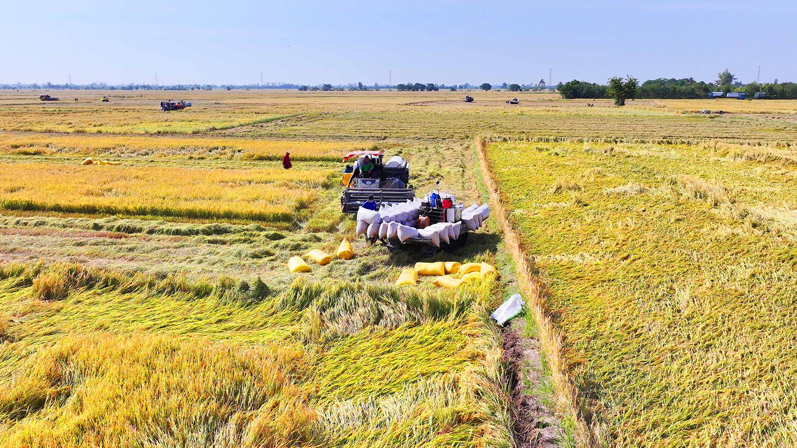 Gieo mầm đoàn kết, gặt hái đồng thuận
