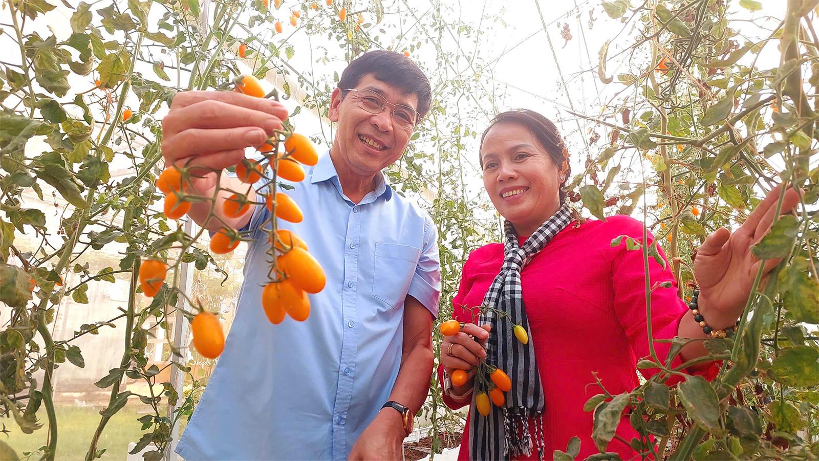 An Giang phát triển nông nghiệp xanh