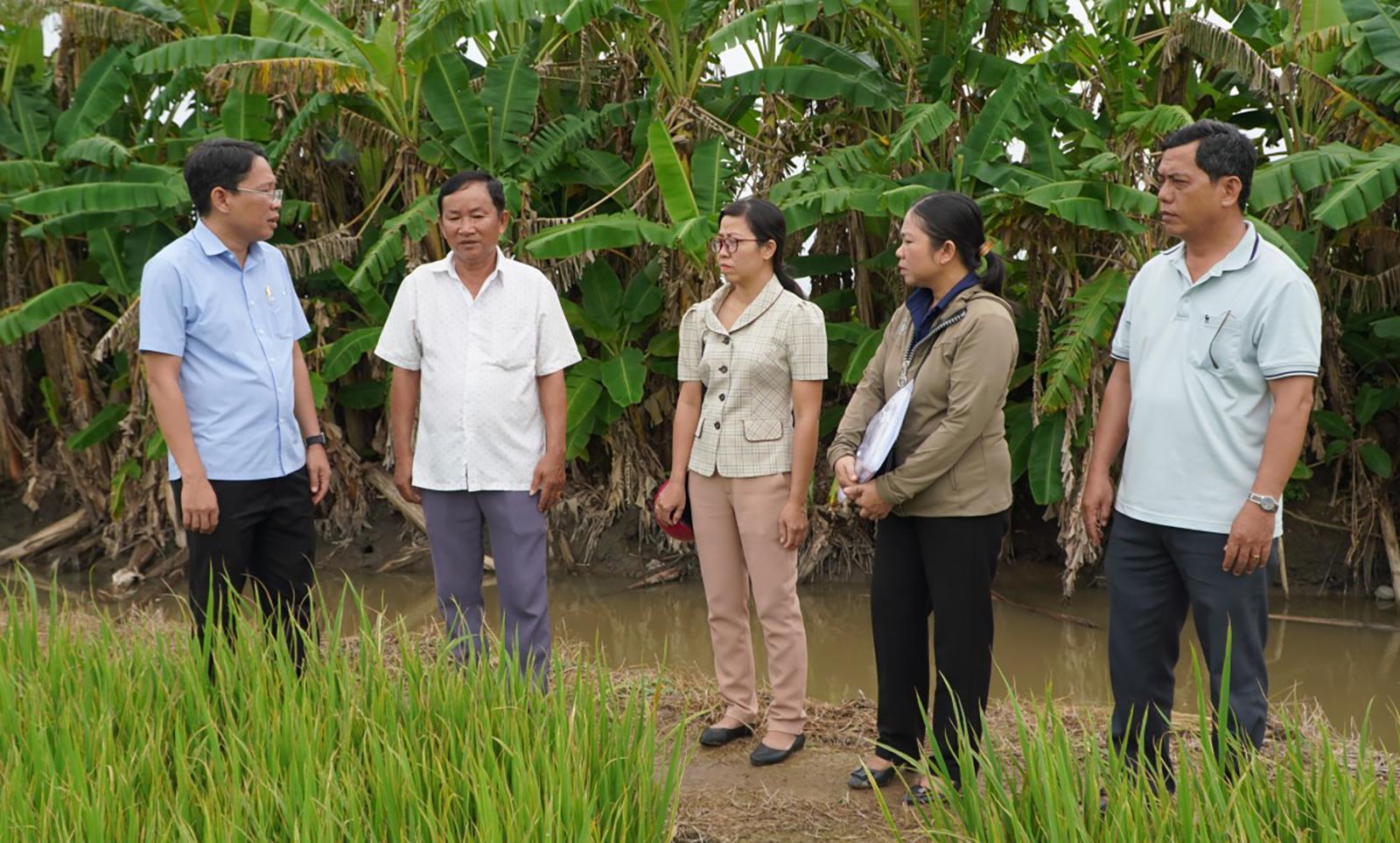 Xã Tân Hội: Giá trị sản xuất một số ngành chủ yếu ước đạt 1.975 tỷ đồng