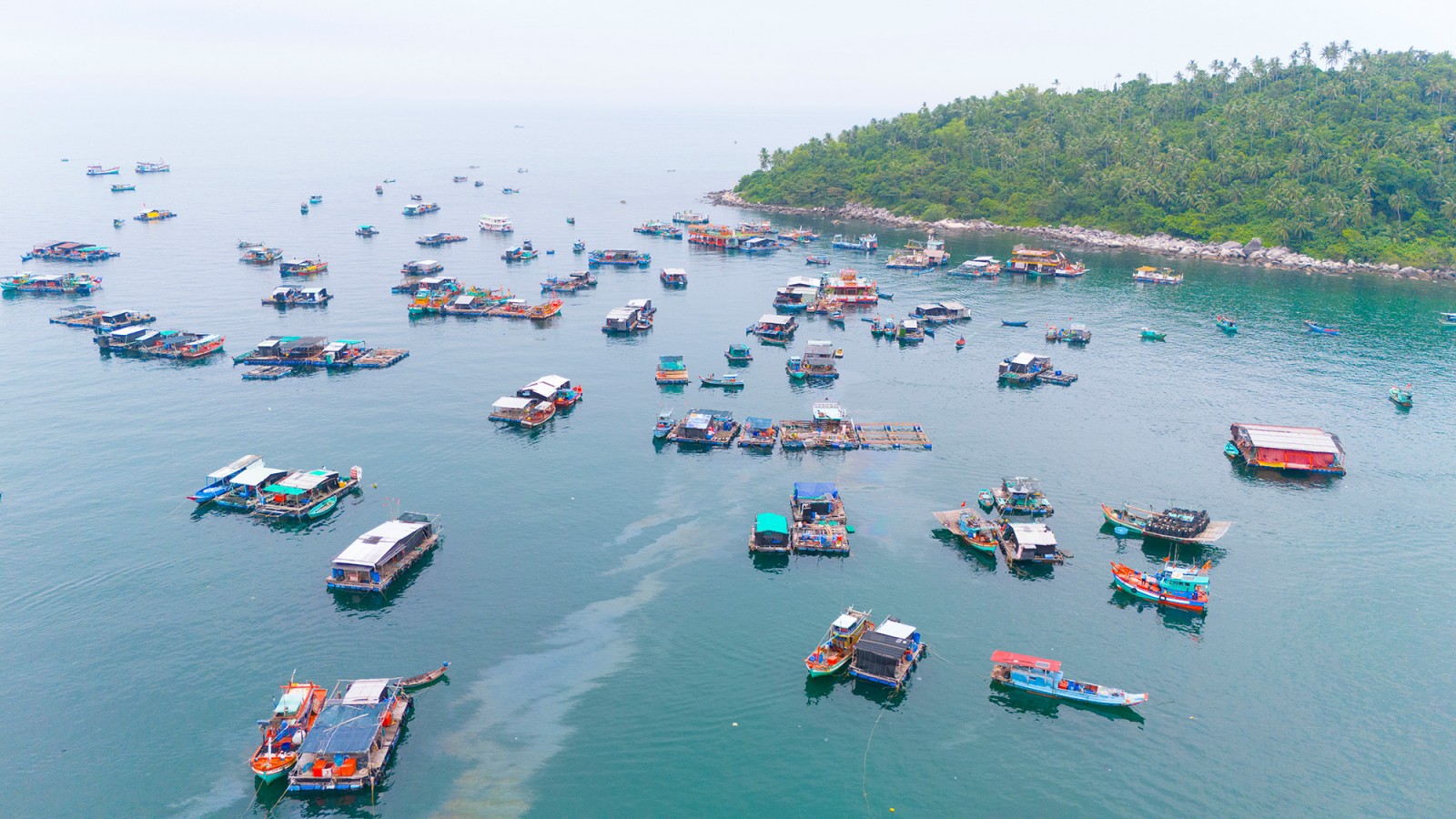 Rộn ràng Lễ hội Nghinh Ông Lại Sơn đặc khu Kiên Hải năm 2025