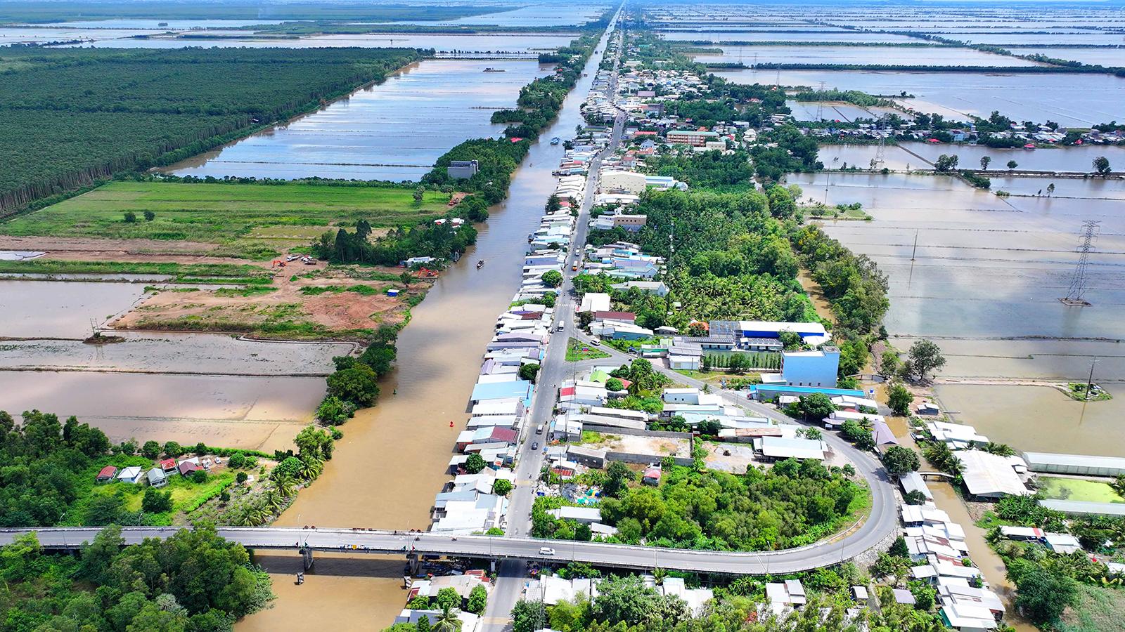 Đi qua cánh đồng Tứ giác Long Xuyên