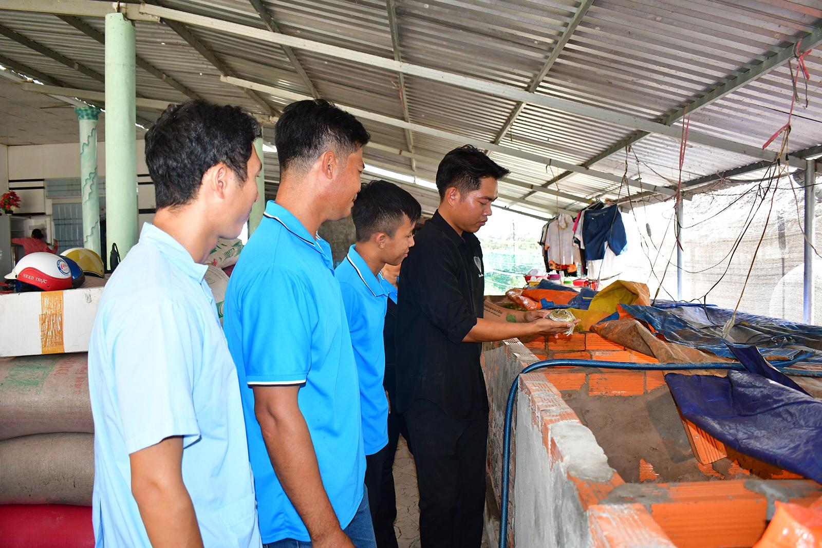 Hồi hương lập nghiệp