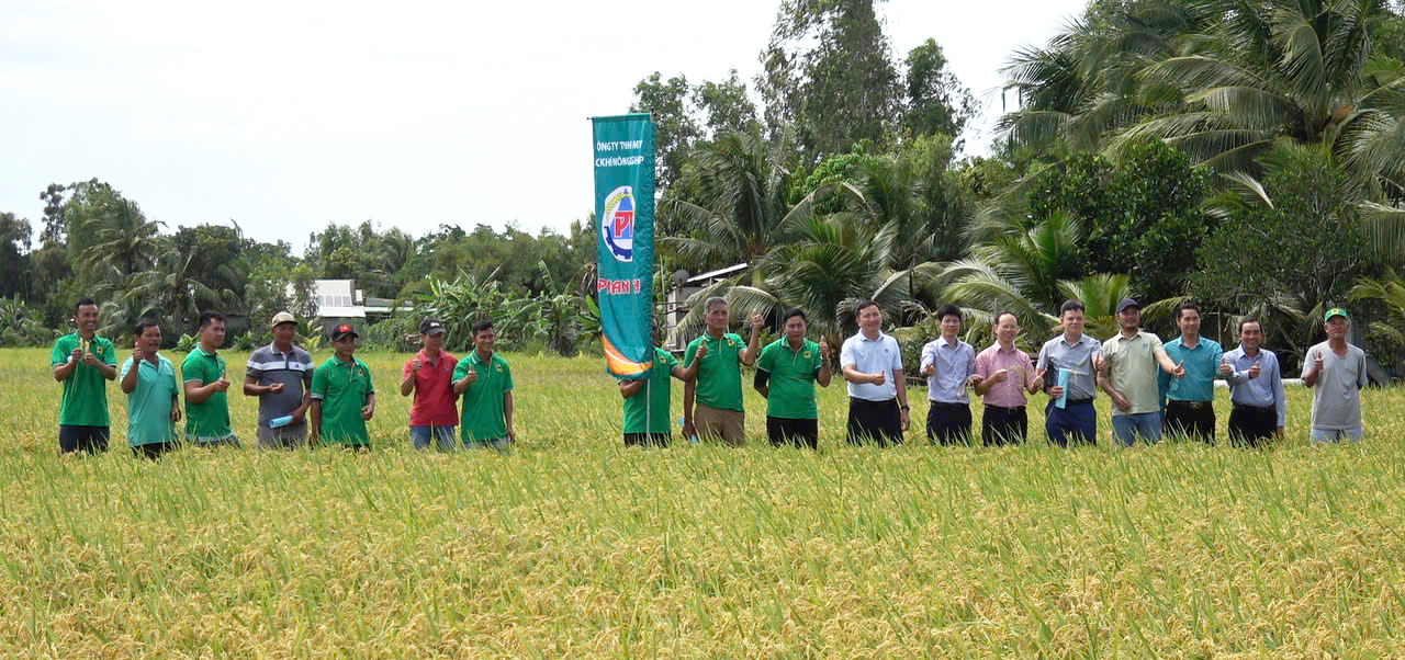 Thúc đẩy hợp tác trong tiêu thụ lúa gạo