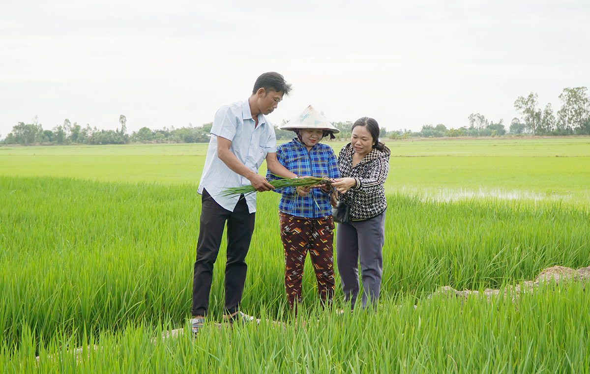 Tân Hội đoàn kết, xây dựng quê hương