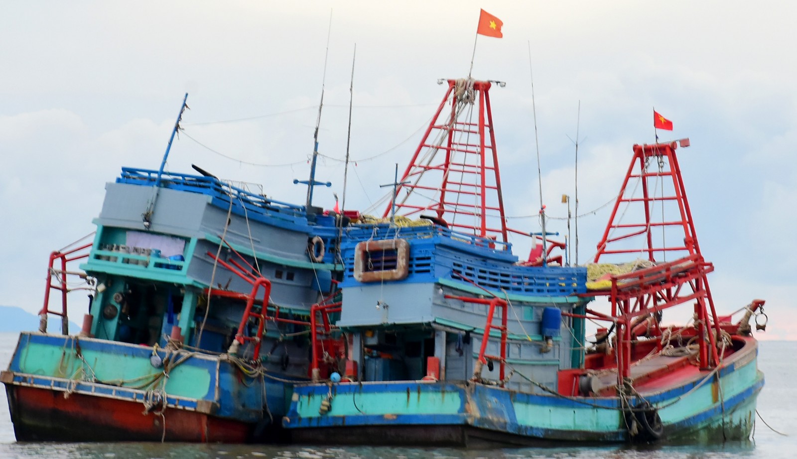 Ra biển cùng kiểm ngư