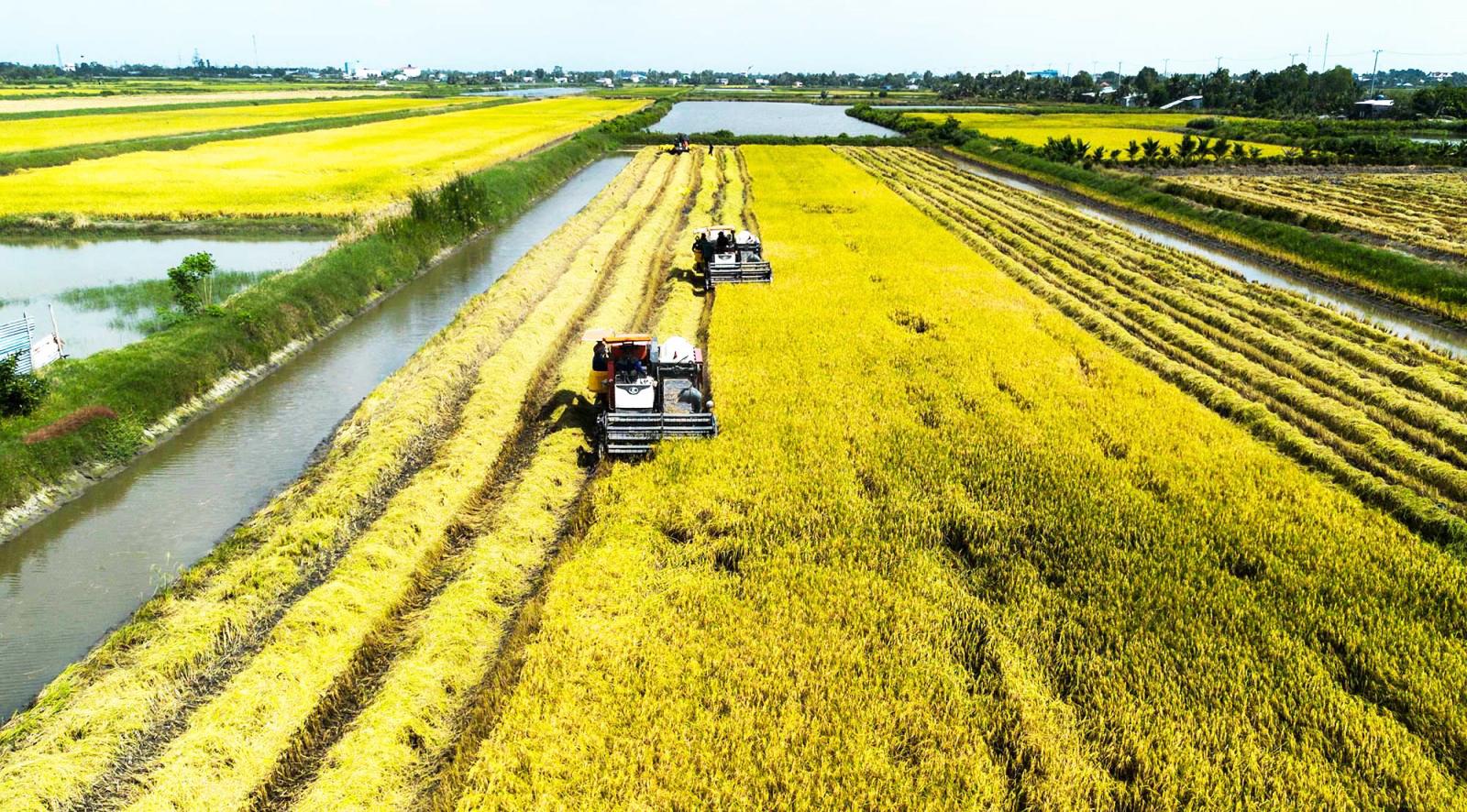 Năm 2025, tỷ lệ hộ nghèo xã Vĩnh Phong giảm còn 0,82%