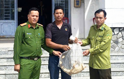 Người dân tự nguyện giao nộp 2 cá thể rồng đất Nam Mỹ cho Kiểm lâm