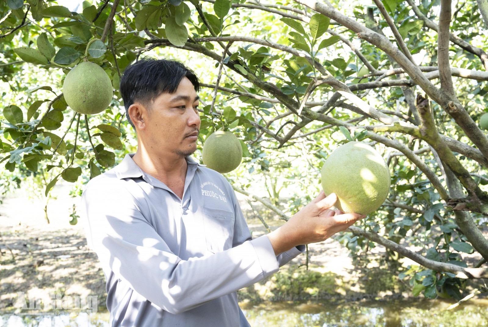Vĩnh An đổi thay