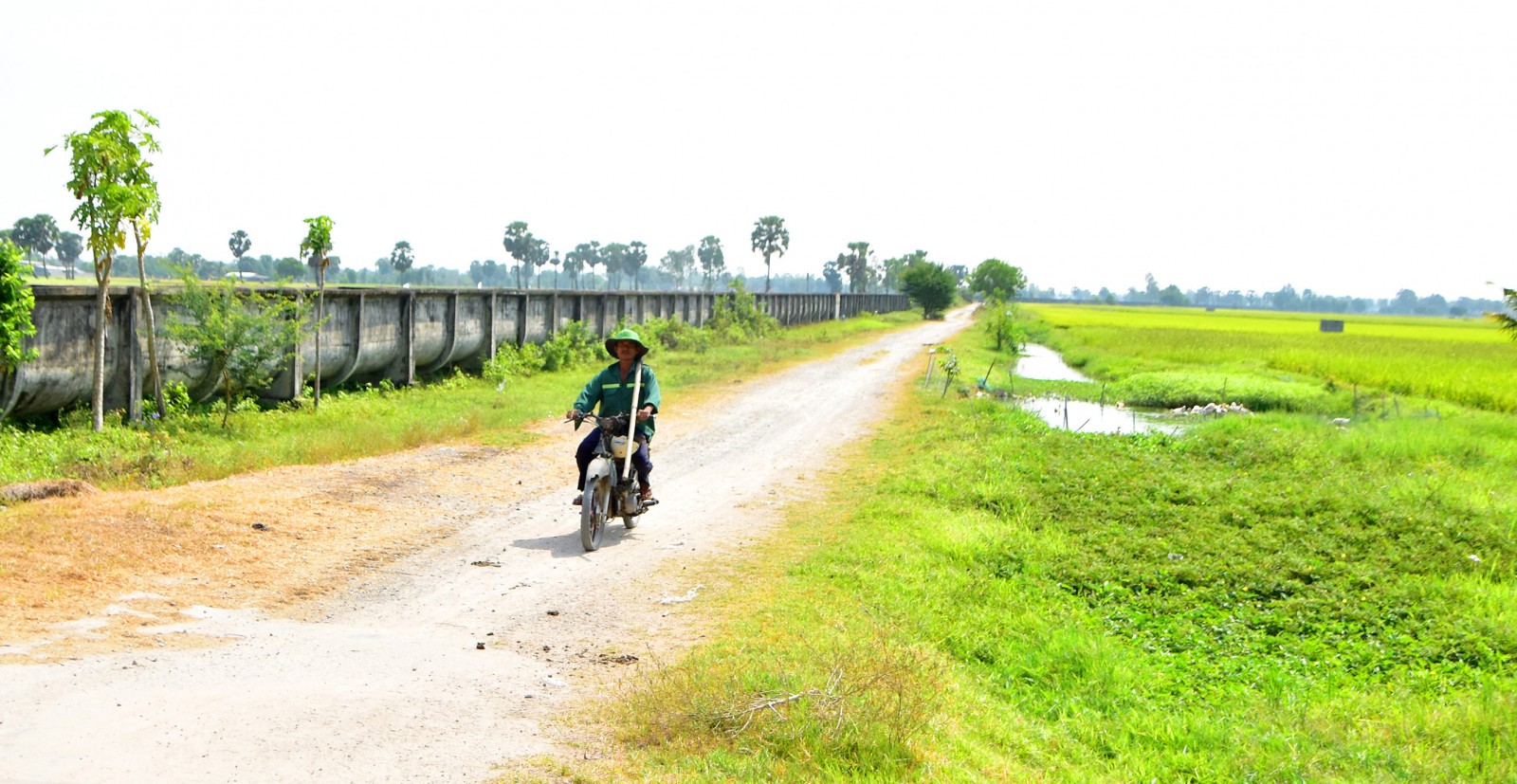 Chủ động bảo vệ sản xuất trong mùa khô