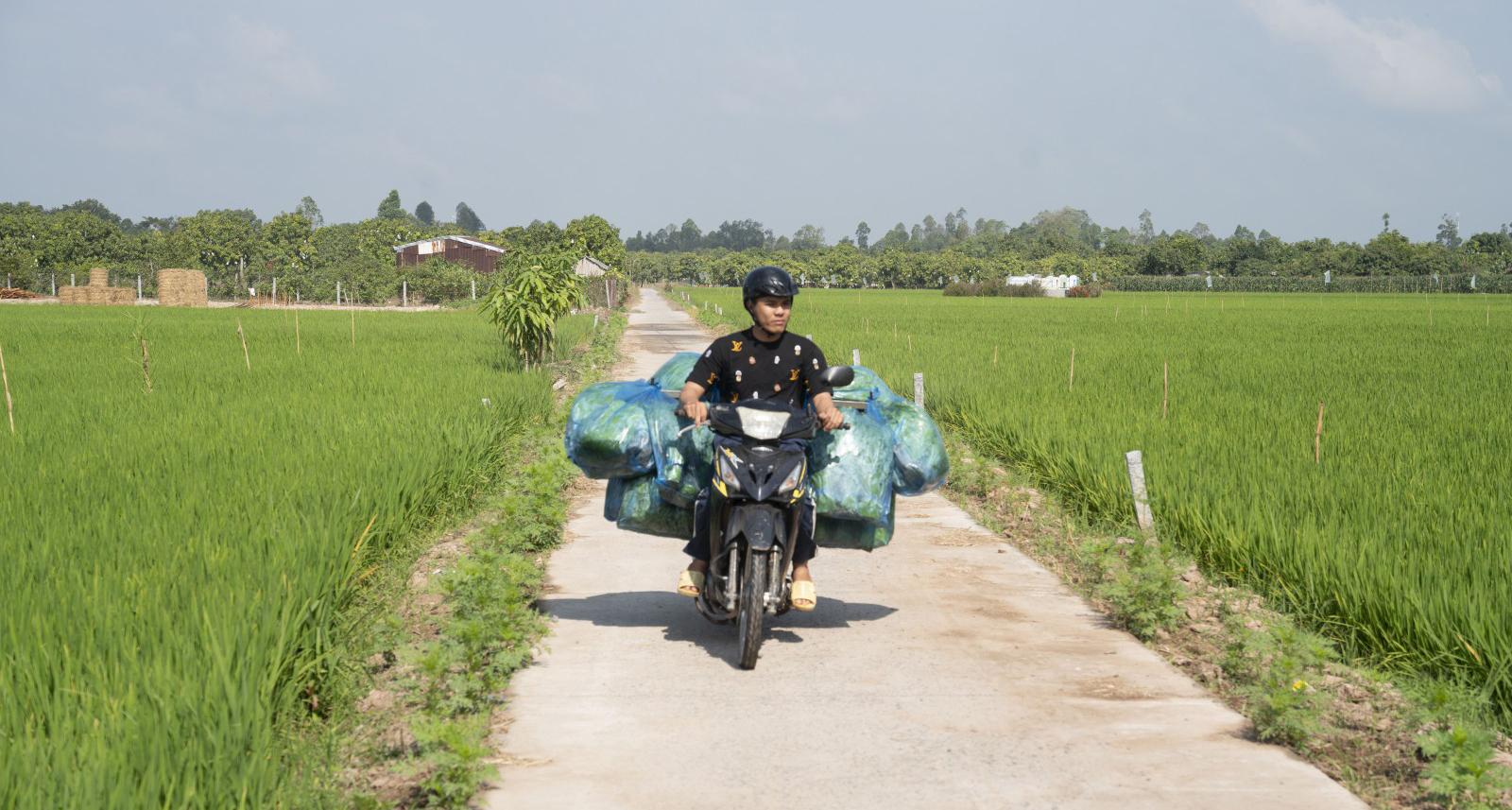 Sắc xuân trên quê hương Bác Tôn