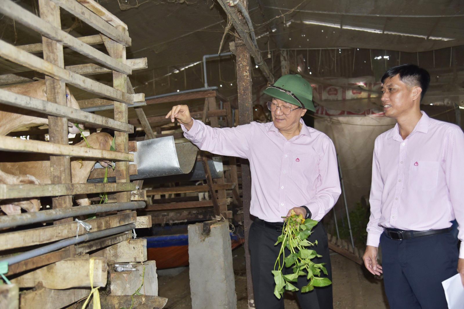 Tổng giám đốc Ngân hàng Chính sách xã hội làm việc tại xã Thạnh Lộc