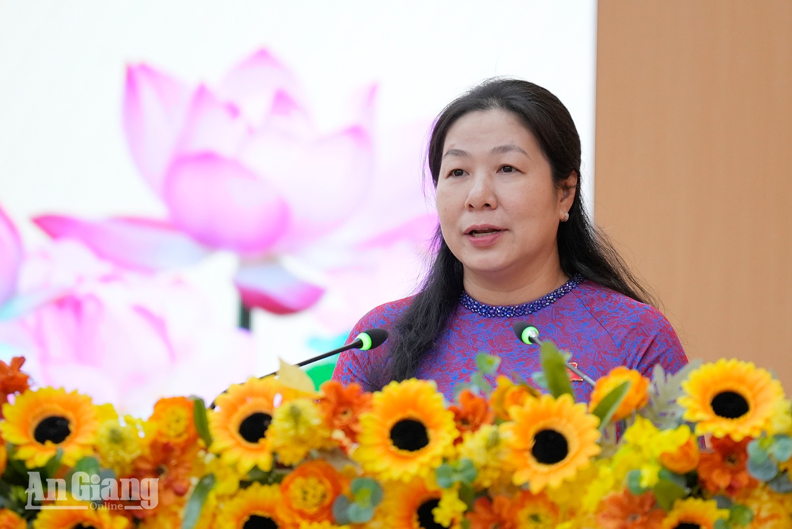 An Giang thông qua 20 nghị quyết, quyết xử lý dứt điểm 474 dự án vướng mắc