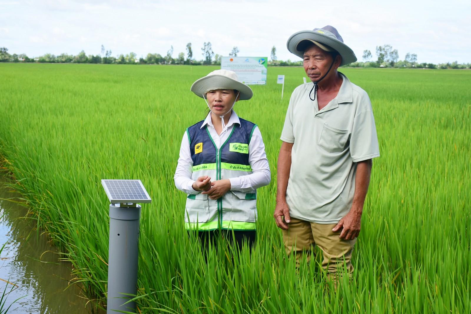 Sáng tạo trên những cánh đồng
