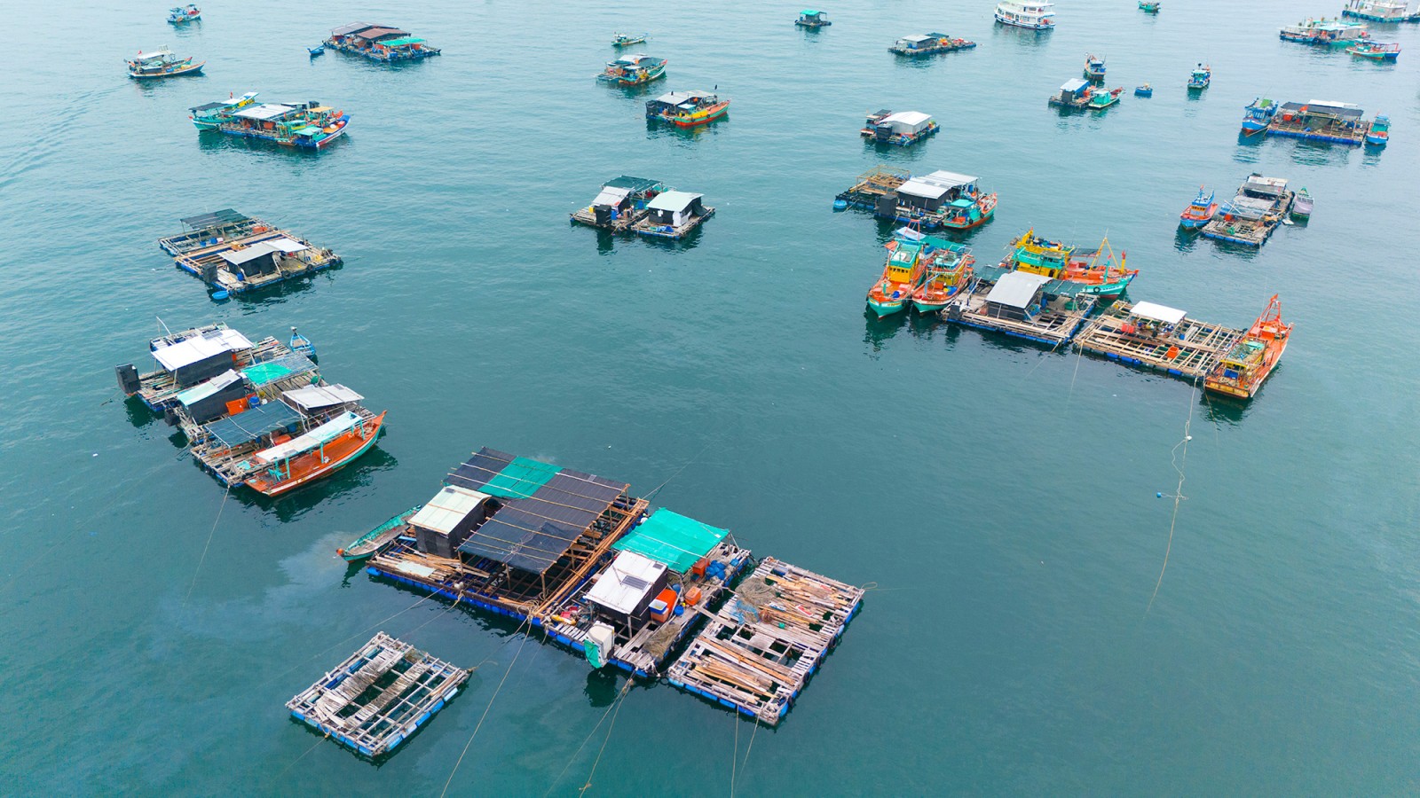 Rộn ràng Lễ hội Nghinh Ông Lại Sơn đặc khu Kiên Hải năm 2025