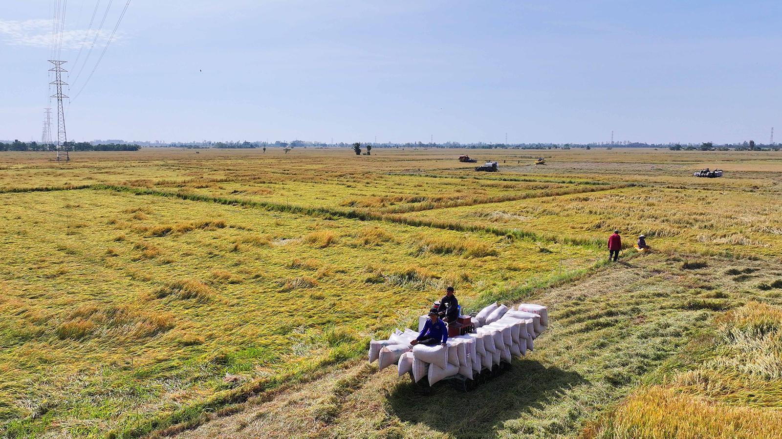 Dấu ấn lãnh đạo của Đảng trong hành trình vươn mình của dân tộc