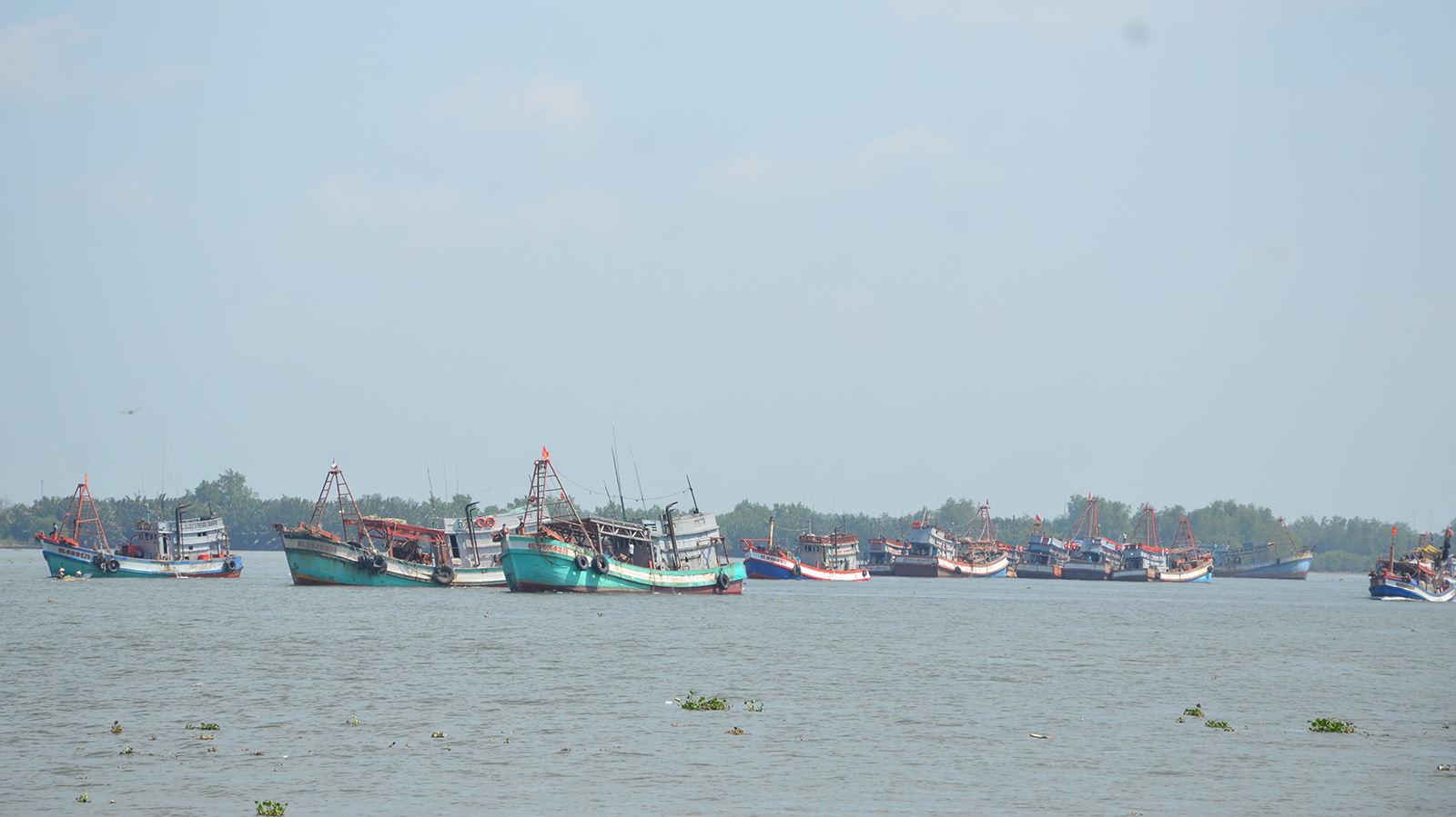 Tái cơ cấu gắn với chuyển đổi nghề cho ngư dân