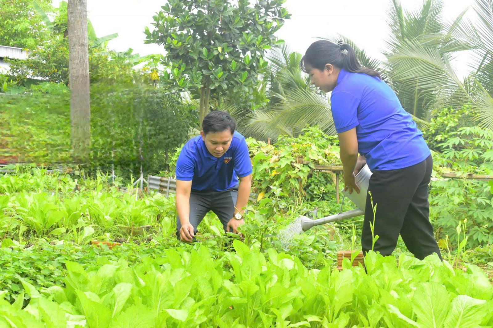 Tuổi trẻ An Giang xung kích xây dựng quê hương, hướng về cộng đồng