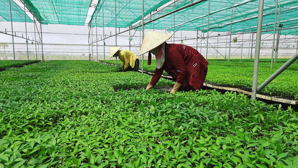 Đổi thay ở Châu Phong