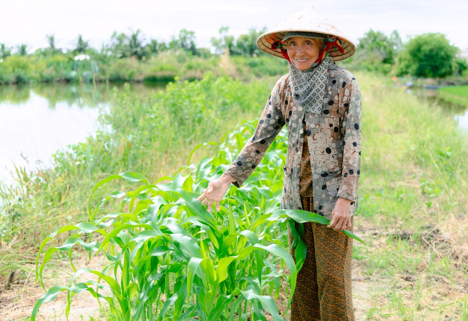 Rau sạch của phụ nữ ấp Phong Lưu