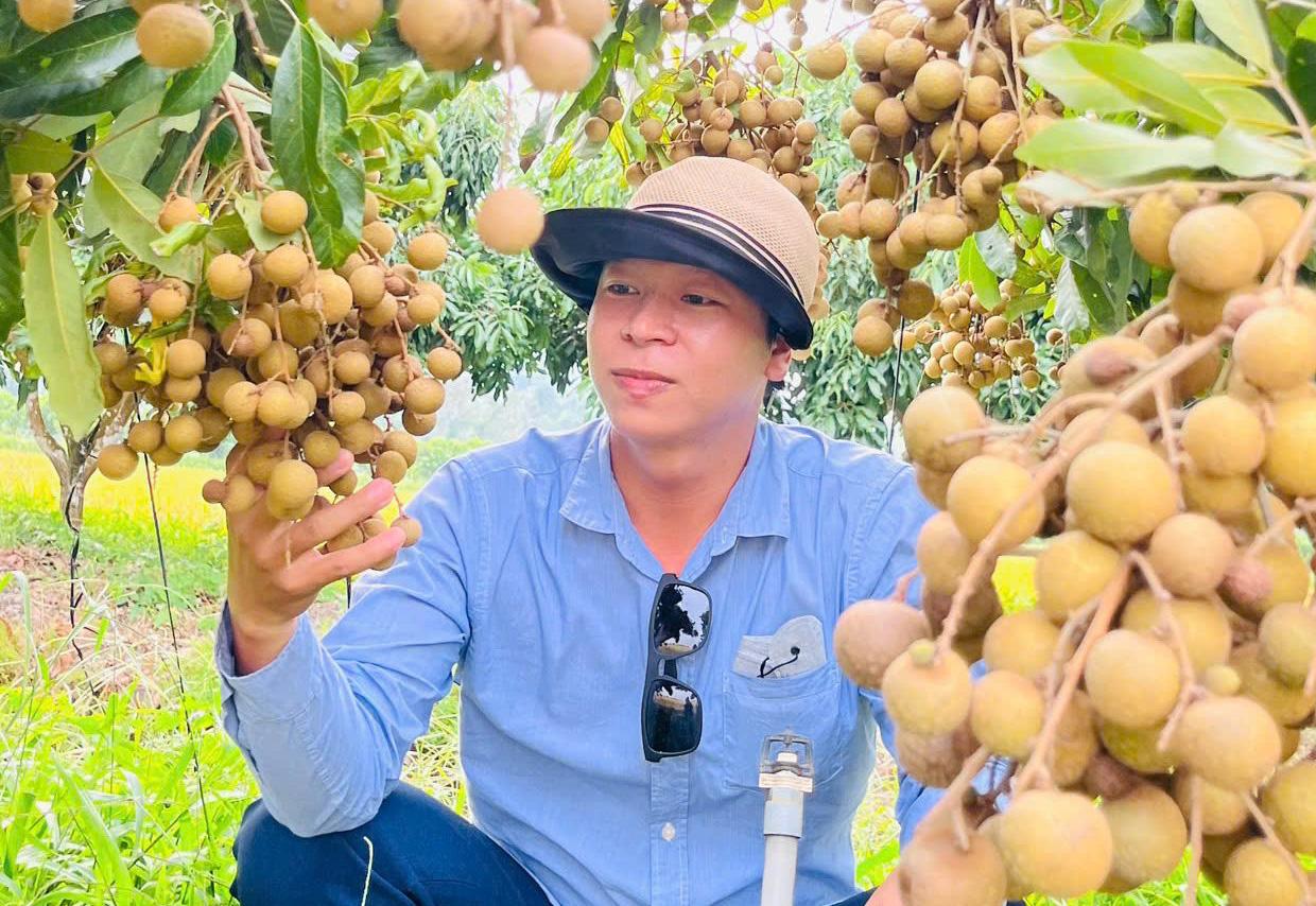 Hương nhãn Óc Eo