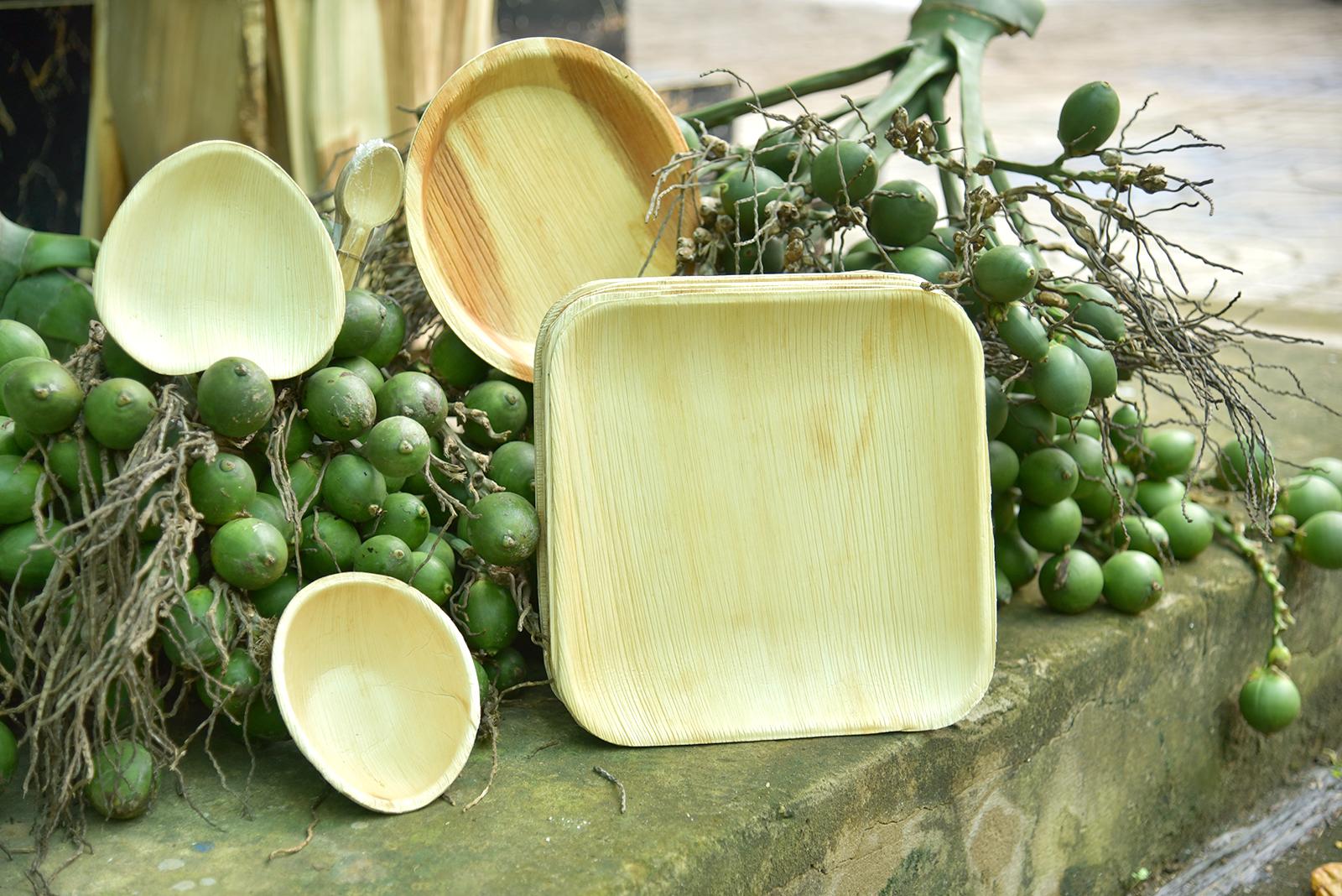 Khởi nghiệp xanh từ mo cau: Câu chuyện mùa hè của cậu học trò thành phố