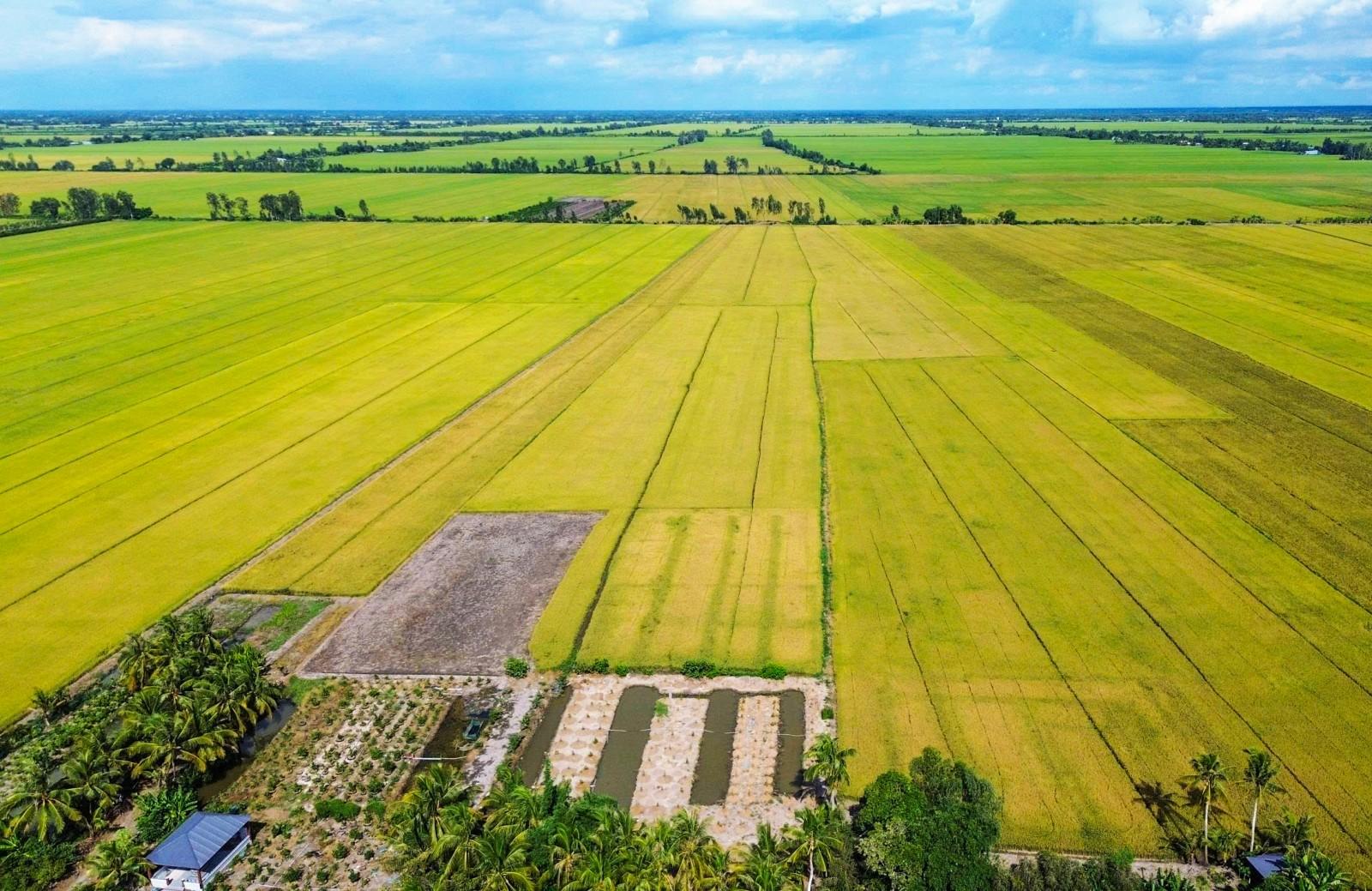 Khởi sắc kinh tế tập thể vùng sâu