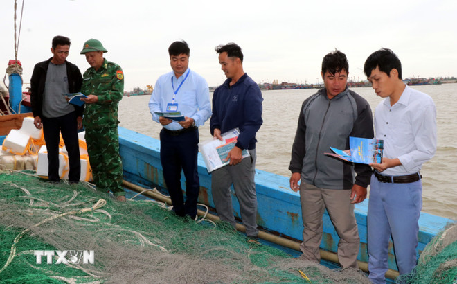 ttxvn-chong-khai-thac-iuu-ninh-binh-quyet-liet-xu-ly-tau-ca-3-khong-8400888-5.jpg