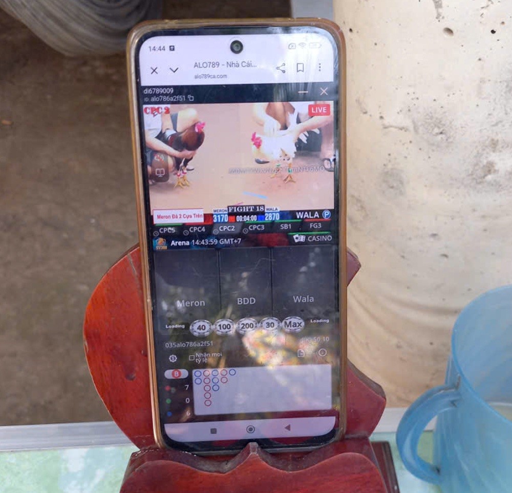 Công an xã Bình Thạnh Đông bắt 10 người đá gà ăn tiền qua mạng