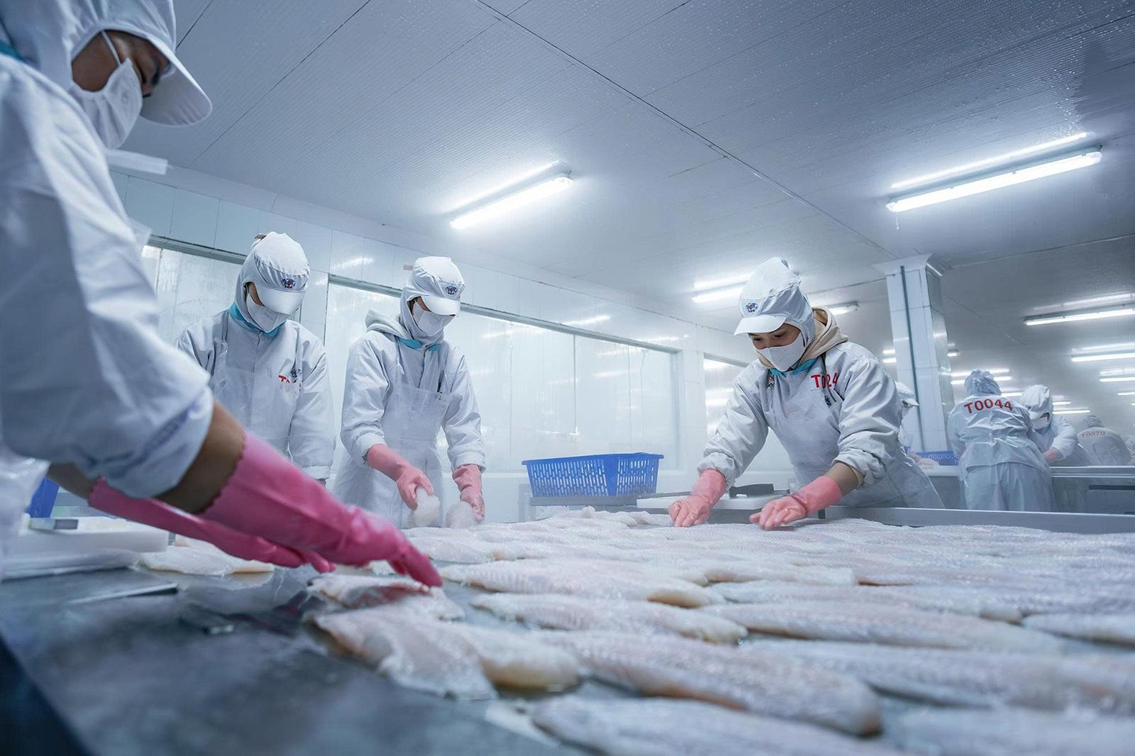 An Giang phát triển nông nghiệp xanh