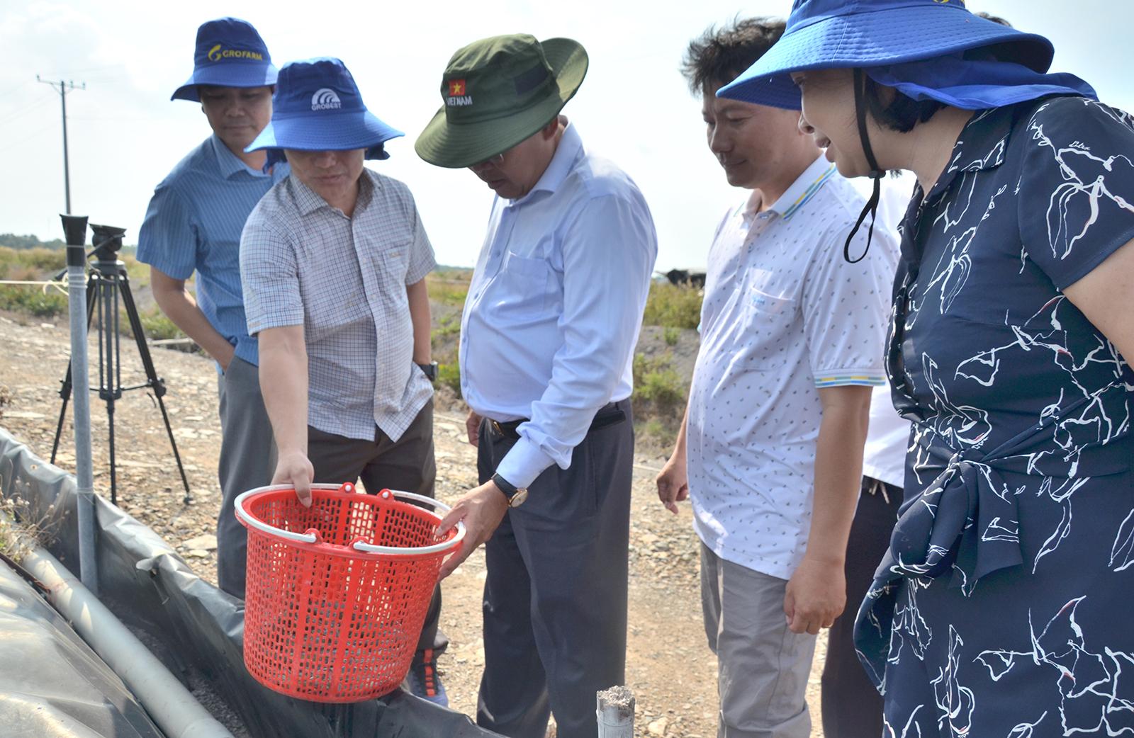 Phó Chủ tịch UBND tỉnh An Giang Ngô Công Thức thăm, chúc tết doanh nghiệp tại phường Tô Châu