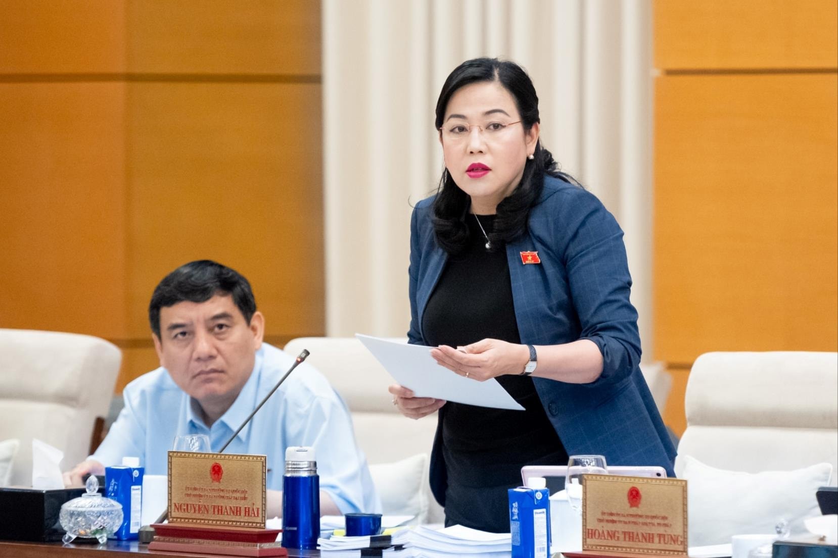 Thông qua QUY CHẾ LÀM VIỆC MẪU của HĐND cấp tỉnh, cấp xã- Ảnh 2.