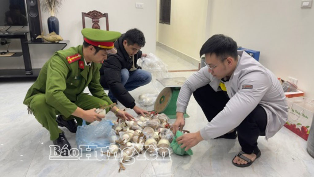 C&ocirc;ng an x&atilde; B&igrave;nh Nguy&ecirc;n thu giữ 13,2kg ph&aacute;o nổ do Phạm Đức Long (sinh năm 1988, tr&uacute; tại x&atilde; B&igrave;nh Nguy&ecirc;n) tự sản xuất tr&aacute;i ph&eacute;p tại nh&agrave; ri&ecirc;ng.