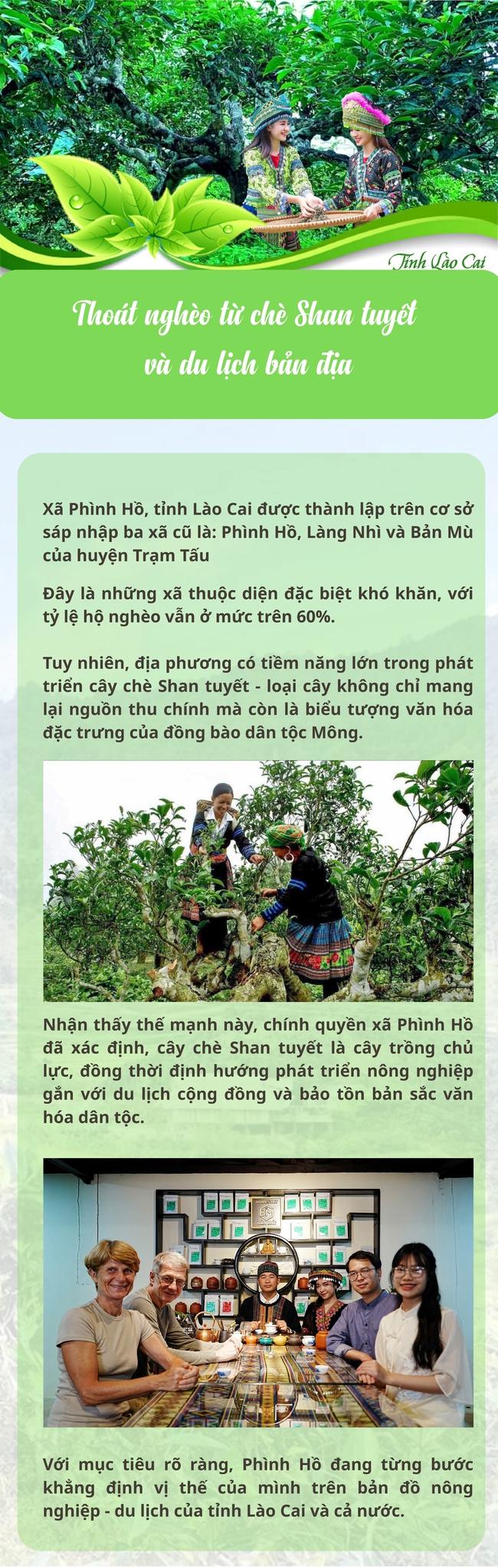 Lào Cai: Nỗ lực thoát nghèo từ chè Shan tuyết và du lịch bản địa - Ảnh 1. Lào Cai: Nỗ lực thoát nghèo từ chè Shan tuyết và du lịch bản địa - Ảnh 1.