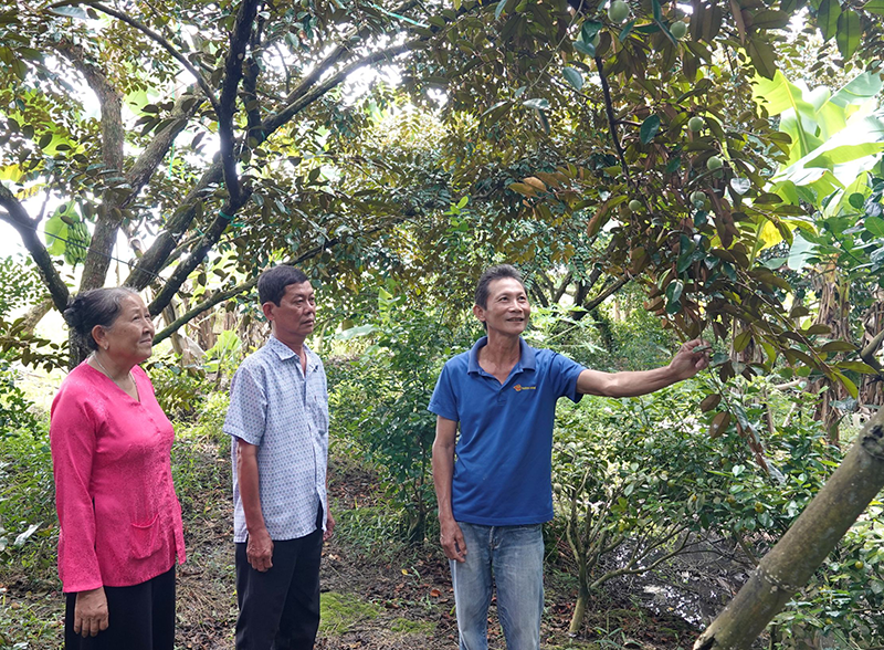 Học Bác, tích cực hỗ trợ nhân dân nâng cao đời sống