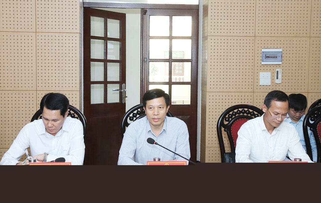 Phó Chủ tịch UBND tỉnh Lại Văn Hoàn phát biểu tại buổi làm việc.