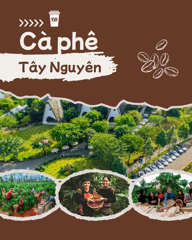 Cà phê Tây Nguyên: Di sản văn hóa, sinh kế bền vững của đồng bào dân tộc thiểu số và tầm vóc quốc tế - Ảnh 1. Cà phê Tây Nguyên: Di sản văn hóa, sinh kế bền vững của đồng bào dân tộc thiểu số và tầm vóc quốc tế - Ảnh 1.