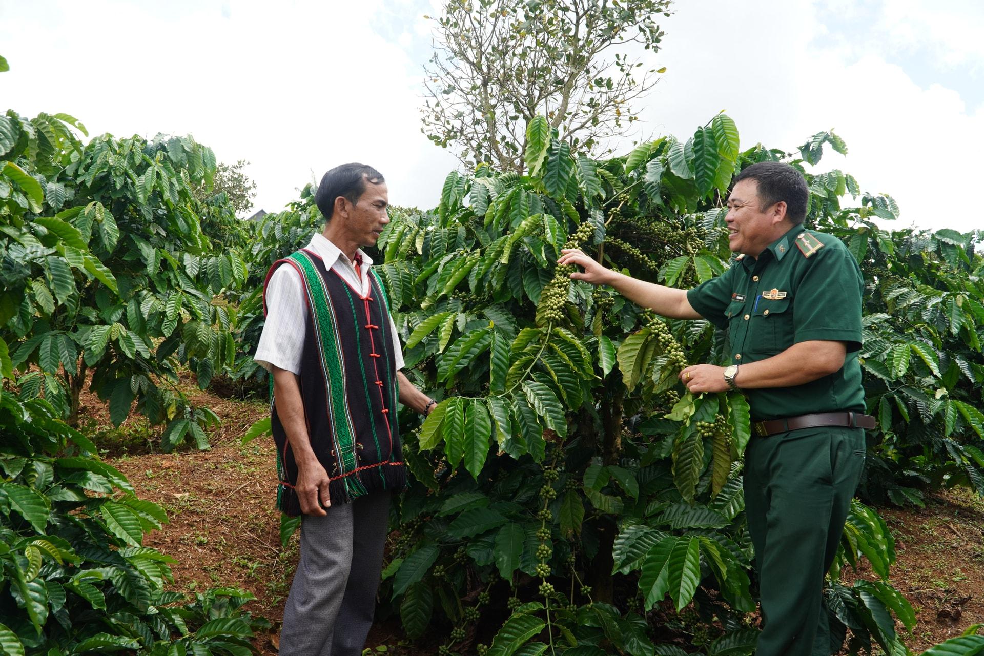 Người dân biên giới Quảng Trực ngày cang