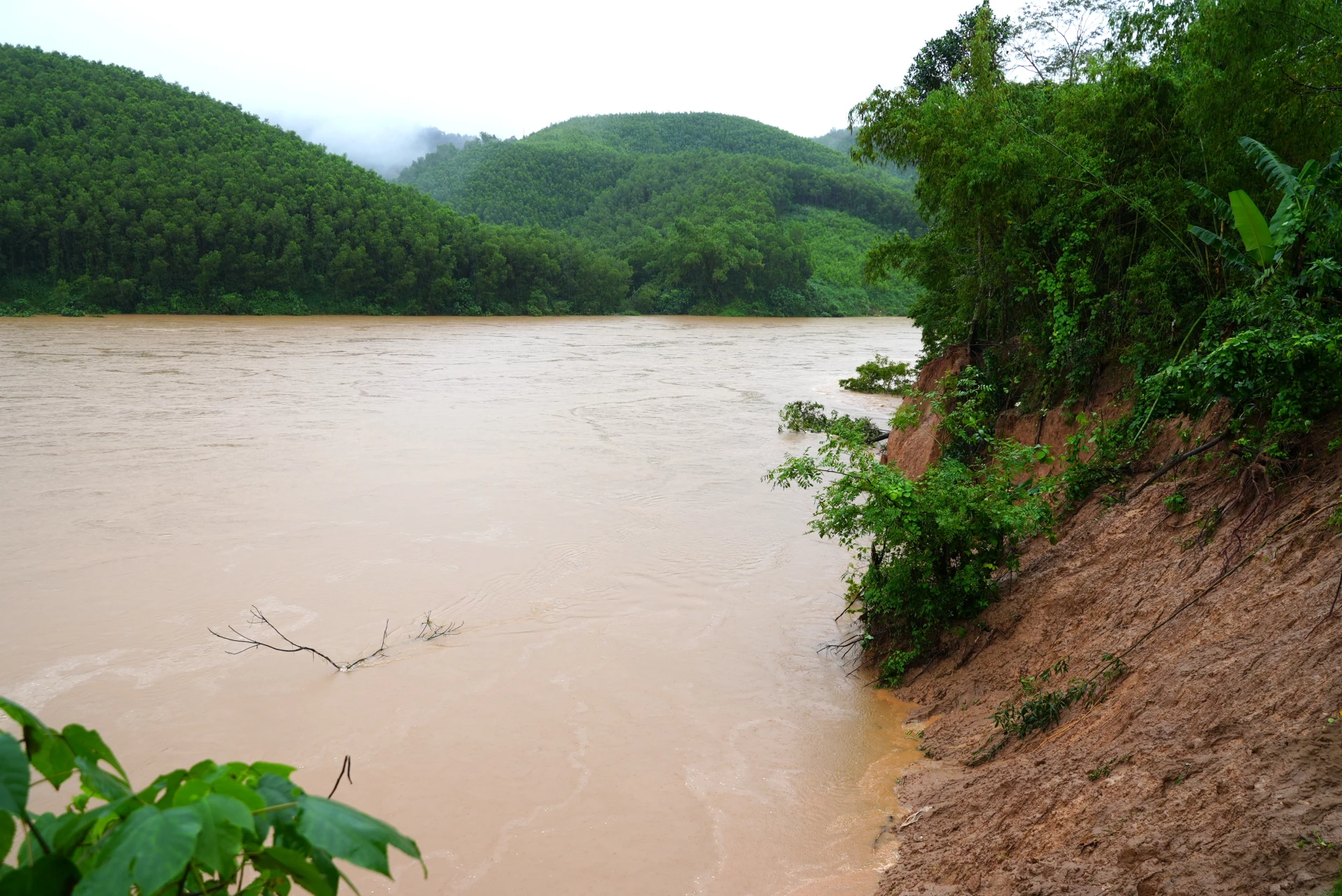 Nhiều cây trồng, hoa màu của người dân bị sạt lở, cuốn trôi - Ảnh: Trung Đức