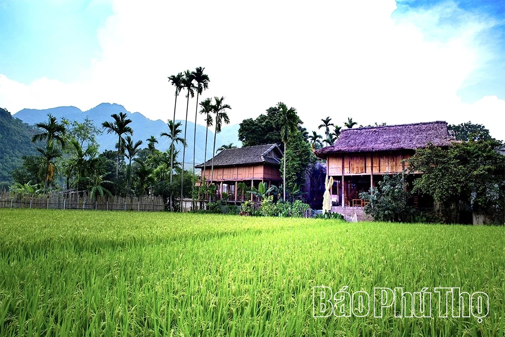 Hấp dẫn du lịch cộng đồng bản Th&aacute;i Mai Ch&acirc;u