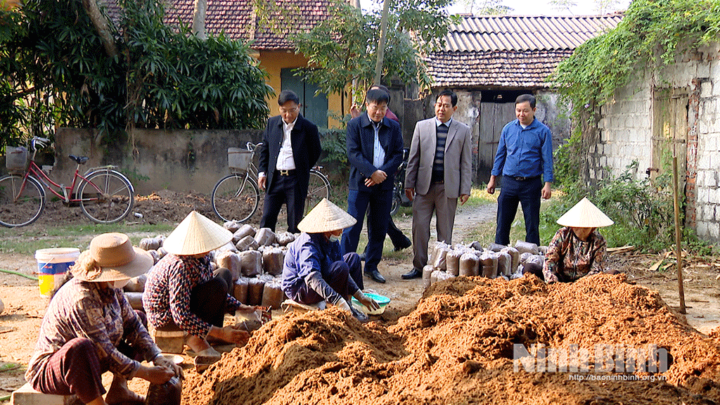 Khánh Nhạc tạo sinh kế bền vững, nâng cao thu nhập cho người dân