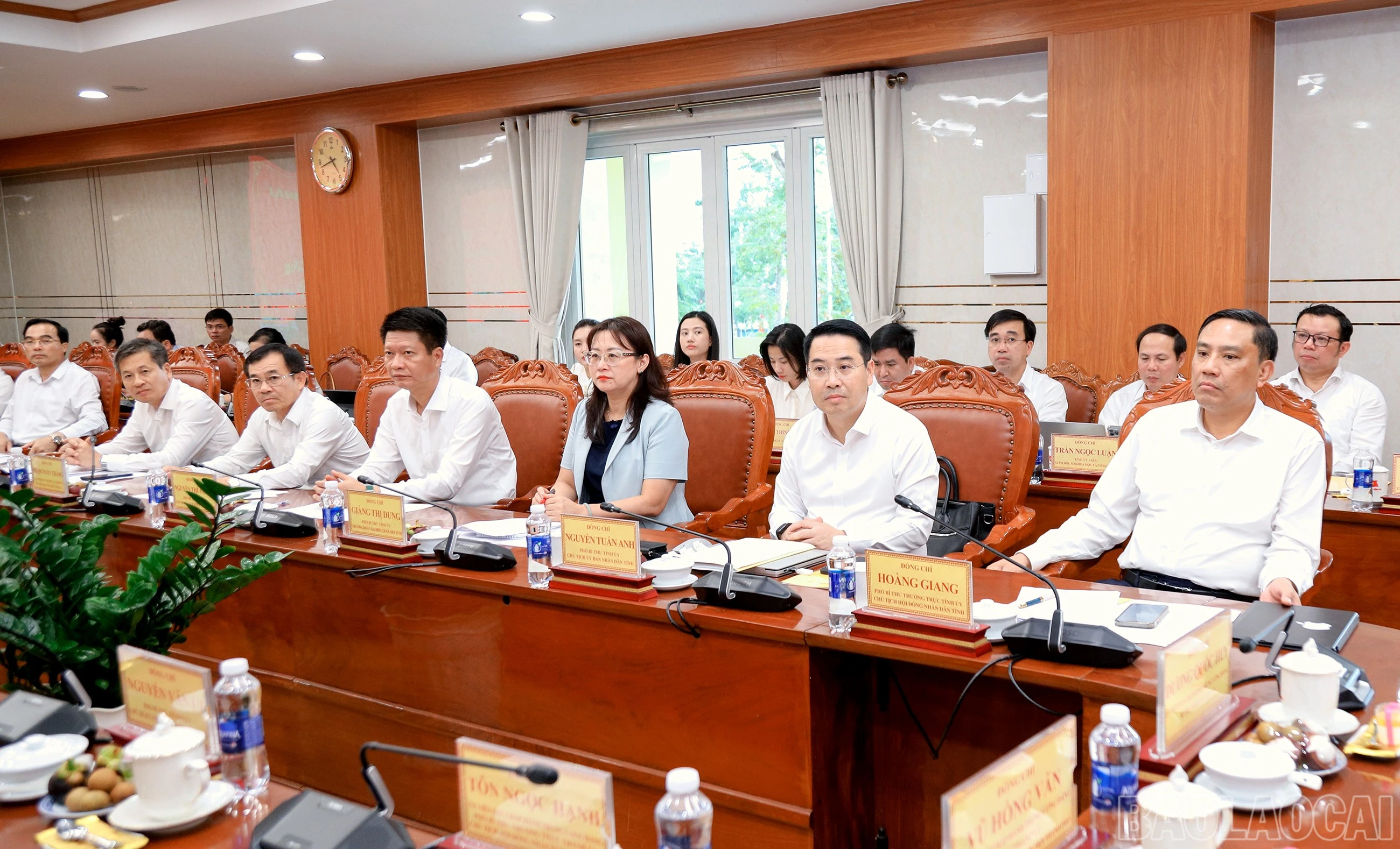 baolaocai-br_7j5a7333.jpg