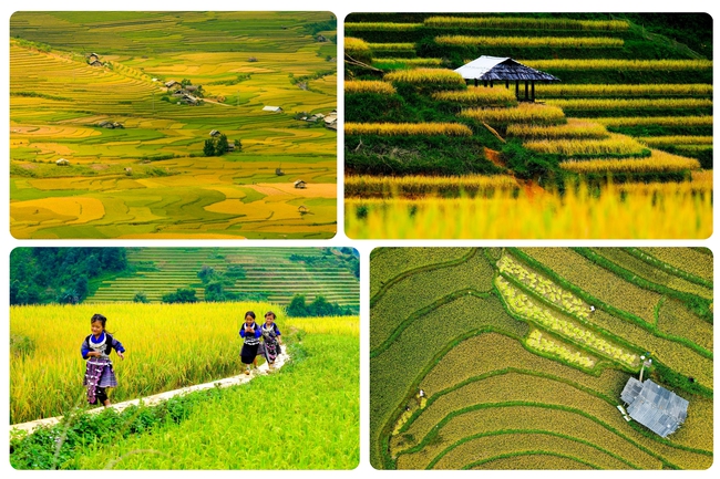 Di tích Quốc gia đặc biệt Ruộng bậc thang Mù Cang Chải - Nét văn hóa đặc sắc vùng cao - Ảnh 3. Di tích Quốc gia đặc biệt Ruộng bậc thang Mù Cang Chải - Nét văn hóa đặc sắc vùng cao - Ảnh 3.