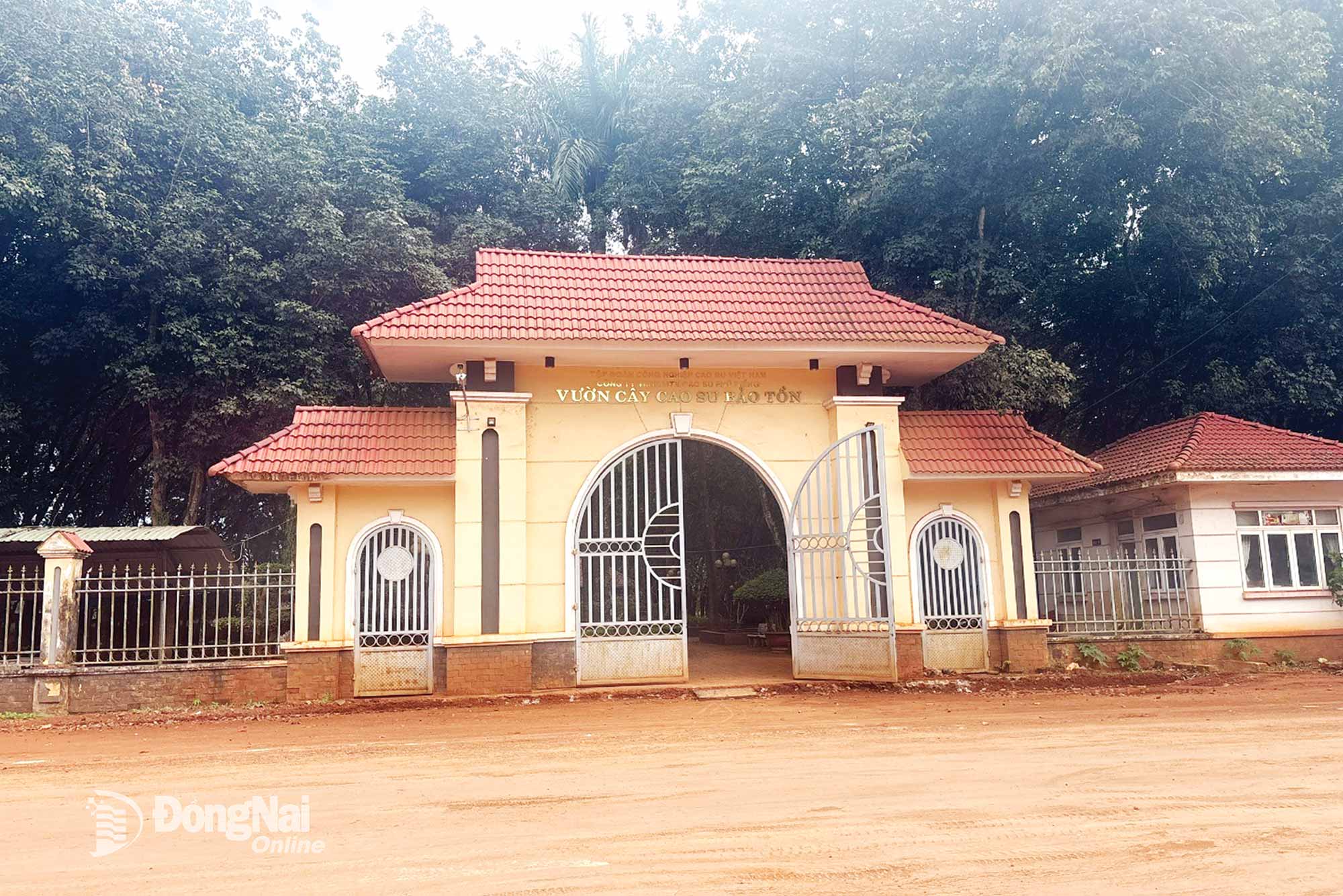 Cổng vào vườn cây cao su bảo tồn. Ảnh: Ngọc Thảo